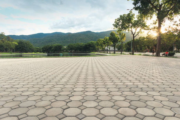 Best Driveway Pavers Near Me  in Burnettown, SC