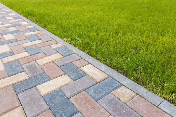 Best Driveway Paving Contractor  in Burnettown, SC